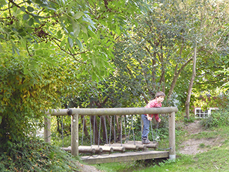 Ein Junge steht auf der Hängebrücke im Grünen